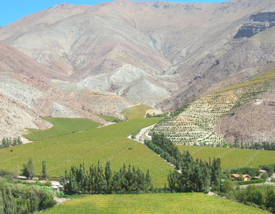 National Park Lauca tour 2 days / 1 night